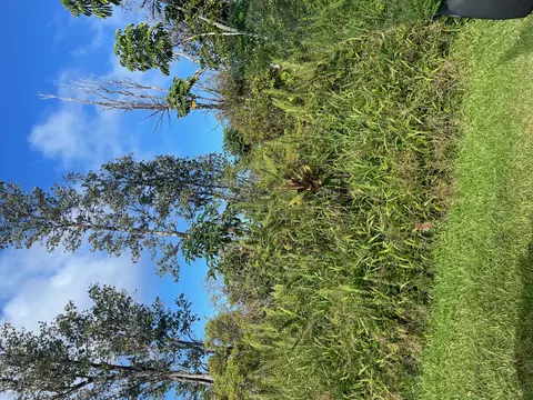 15-2811 Lai St, Pahoa, HI 96778