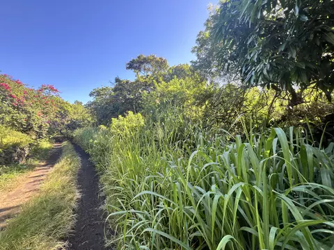 Palaoa Rd, Naalehu, HI 96772