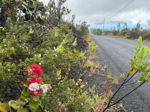 Koa Ln, Ocean View, HI 96737
