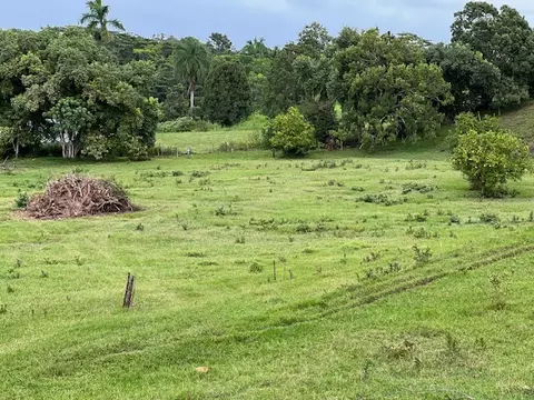 Olohena Rd, Kapaa, HI 96746