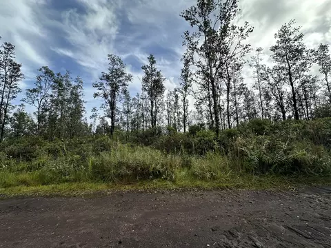 Road 4, Mountain View, HI 96760