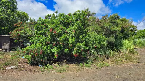 Pua St, Naalehu, HI 96772