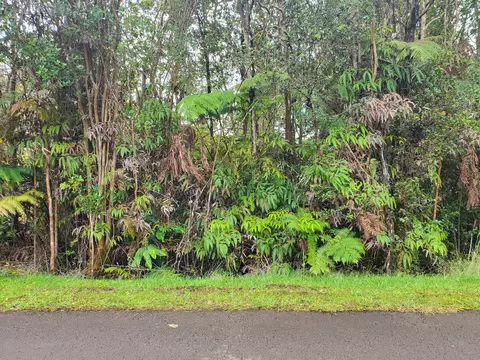 Mokuna St, Volcano, HI 96785