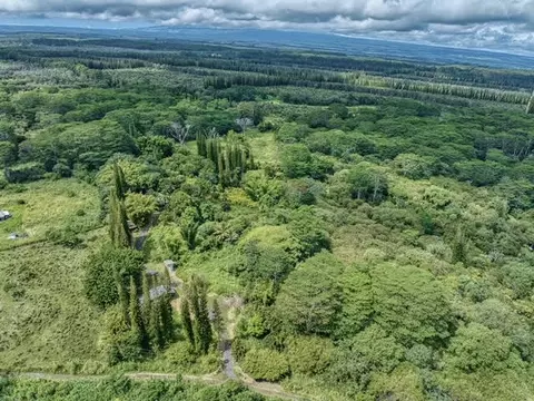 17-406 13 Mile Rd, Kurtistown, HI 96760