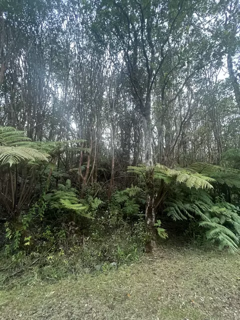 Road 11, Volcano, HI 96785