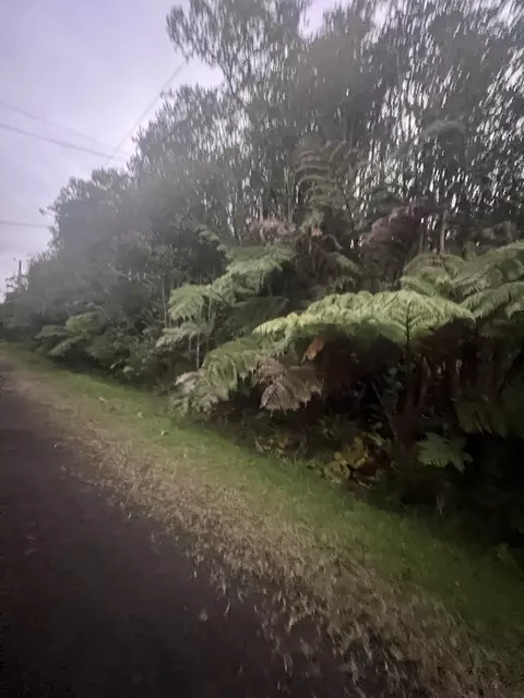 Road 11, Volcano, HI 96785