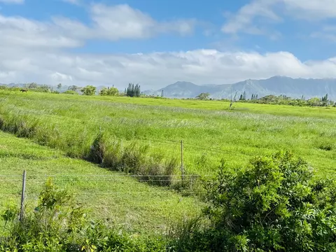 Kilauea Rd, Kilauea, HI 96754