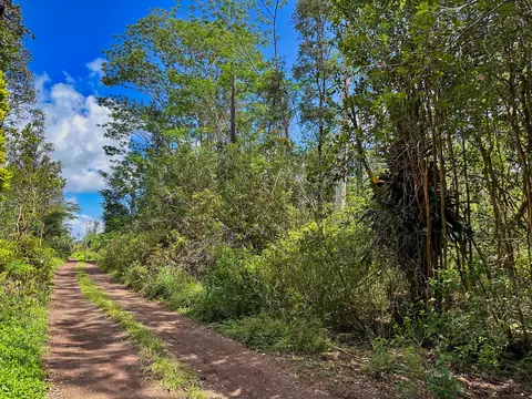 Silversword Ct, Kurtistown, HI 96760