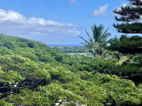 3-3400 Kuhio Hwy #B303, Lihue, HI 96766