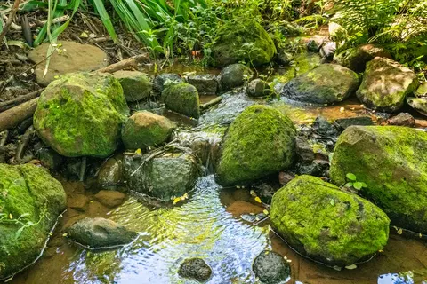 Kaehulua Rd, Kapaa, HI 96746