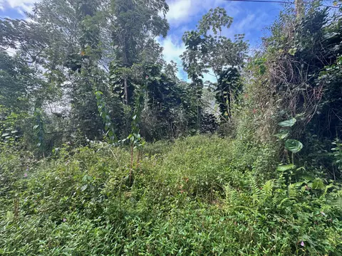 Kahoolawe Rd, Pahoa, HI 96778