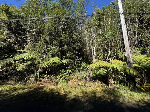 Road 11, Volcano, HI 96785