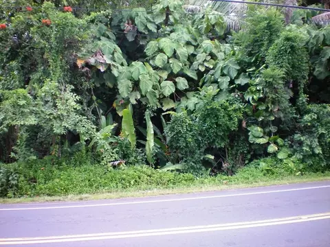 Palainui Ave, Mountain View, HI 96771