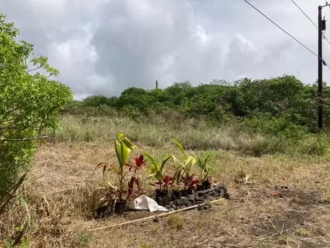 94-6374 Pele St, Naalehu, HI 96772