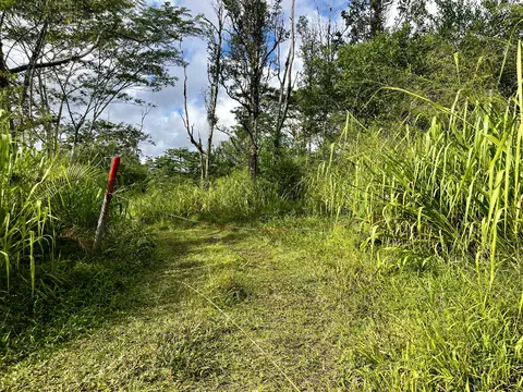 16-1483 38th Ave, Kurtistown, HI 96760