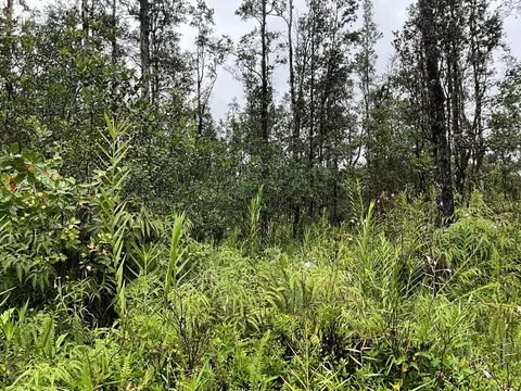 Bamboo Dr, Pahoa, HI 96778