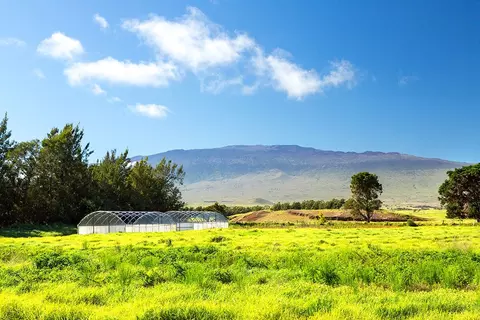 Mana Rd, Kamuela, HI 96743