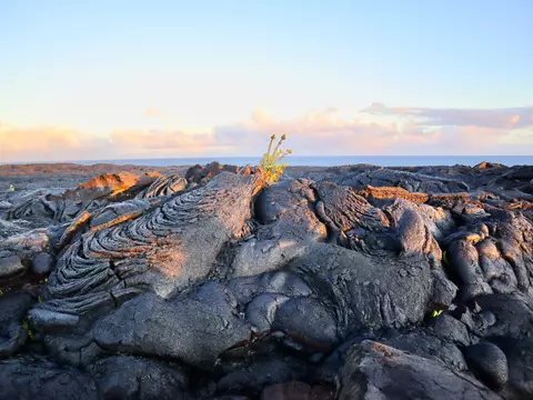 Undisclosed, Pahoa, HI 96778