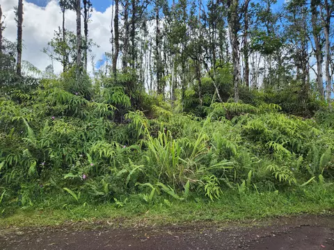 Holiday Rd, Pahoa, HI 96778