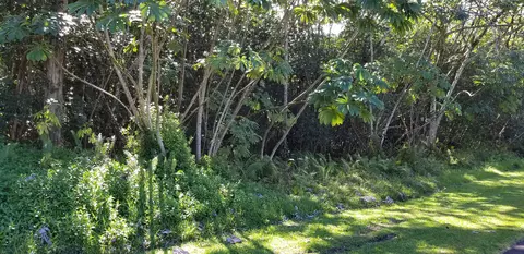 S Moana St, Pahoa, HI 96778