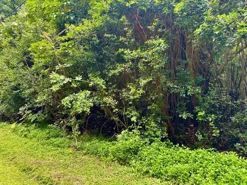 15-2688 Papai St, Pahoa, HI 96778