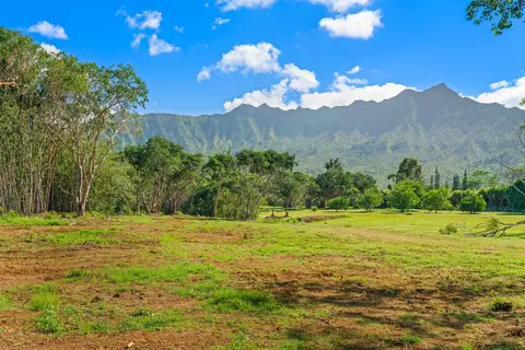 halaulani rd, Kilauea, HI 96754