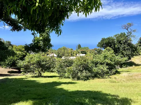 78-6797 Mamalahoa Hwy, Holualoa, HI 96725
