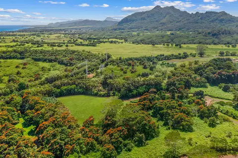 iana pl, Kapaa, HI 96746