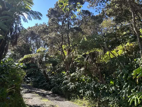 Ainahau Rd, Volcano, HI 96785