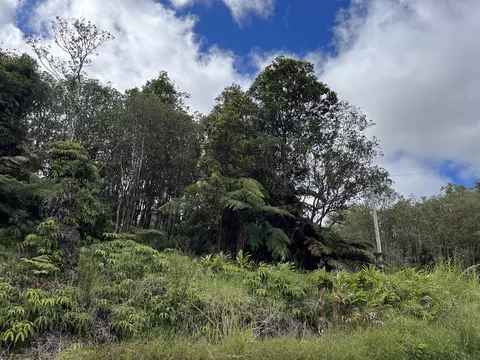 Lehuanani St, Volcano, HI 96785