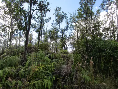Apuakehau Rd, Volcano, HI 96785