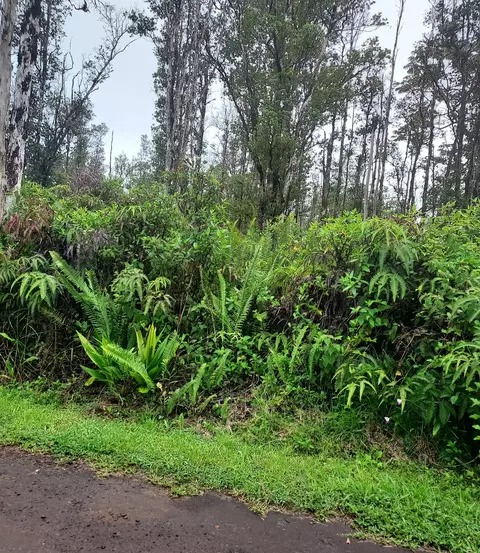 Road 9, Mountain View, HI 96760