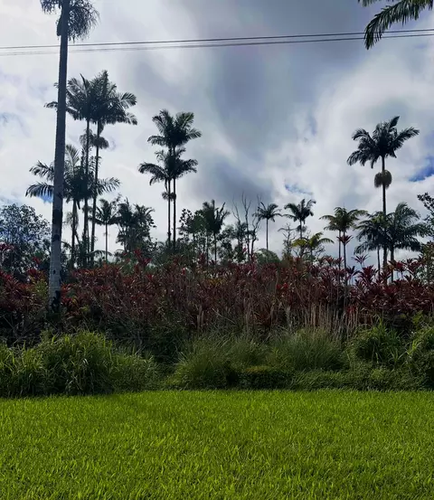 17-4345 Enos Rd, Mountain View, HI 96771 photo 1