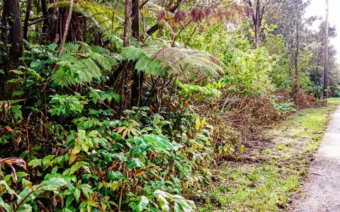 11-3845 2nd St, Volcano, HI 96785
