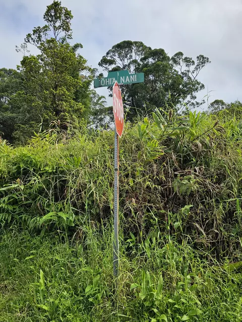 Road 1, Volcano, HI 96785