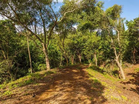 Kaui Rd, Princeville, HI 96722