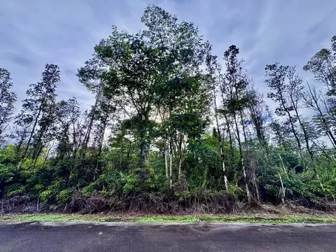 Silversword Ct, Kurtistown, HI 96760