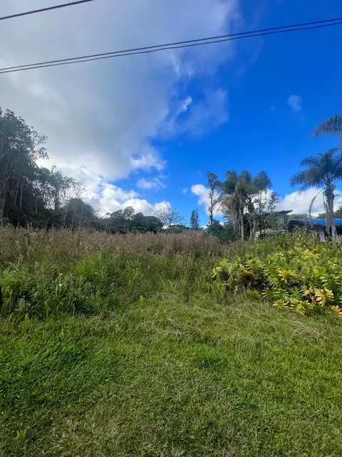 18-1268 Hawaii St, Mountain View, HI 96771