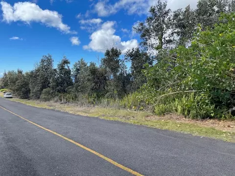 Ginger Blossom Ln, Ocean View, HI 96737