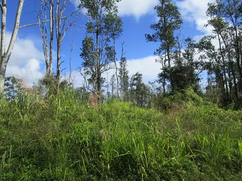16-1799 35th Ave, Pahoa, HI 96778