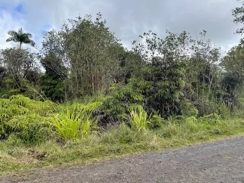 16-1265 Io Kea Rd, Mountain View, HI 96771