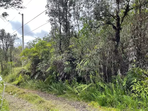 16-1058 Uau Rd, Mountain View, HI 96771