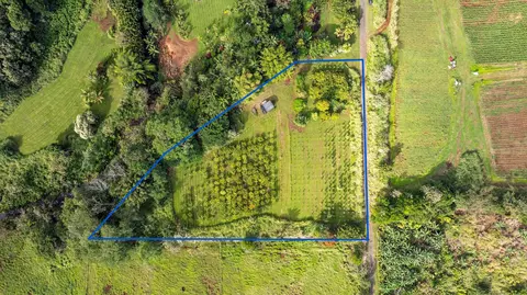 27-1731 Aleamai Rd, Papaikou, HI 96781