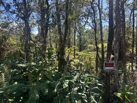 Alaula St, Volcano, HI 96785