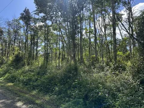14-3522 Pakalana Rd, Pahoa, HI 96778