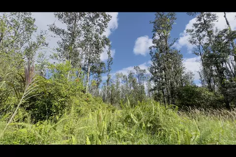 Road 3, Mountain View, HI 96760