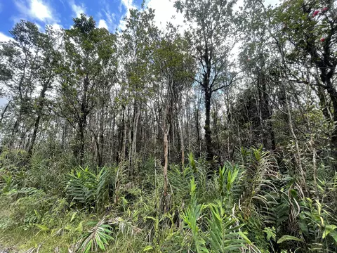 11-2435 Kokokahi Rd, Volcano, HI 96785