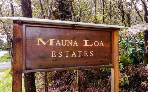 11-3854 3rd St, Volcano, HI 96785
