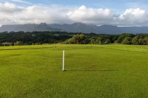 4132 Hihimanu Rd, Kilauea, HI 96754
