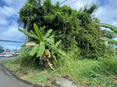 Undisclosed, Hilo, HI 96720 photo 2
